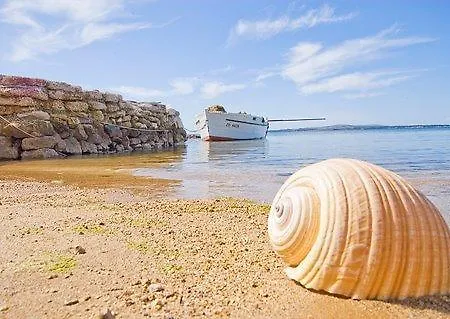 Beachfront Skoblar With Seaview Holiday home *