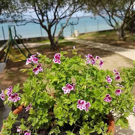 Beachfront Skoblar With Seaview Holiday home Privlaka (Zadar)