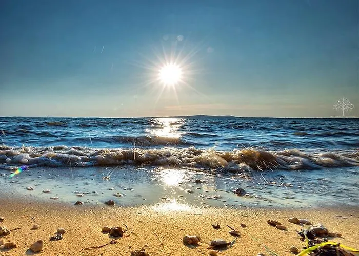 Beachfront Skoblar With Seaview *