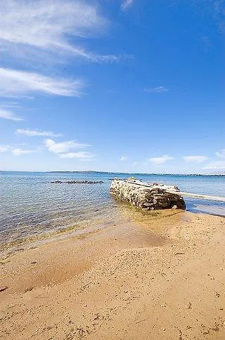 Casa vacanze Beachfront Skoblar With Seaview