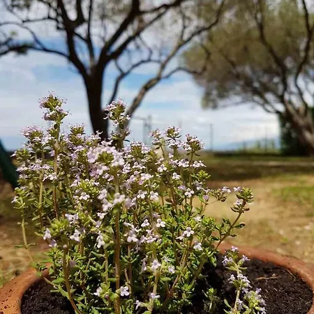 بيت للعطل Beachfront Skoblar With Seaview بريفلاكا